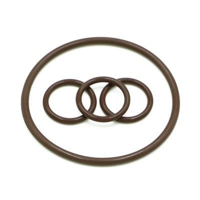 High Temperature Corrosion Resistant O-ring